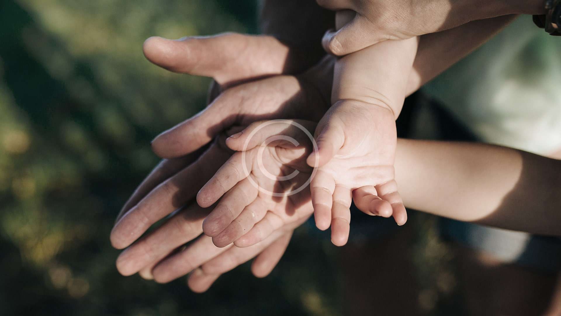 El abogado de familia y sus clientes, unidos y apoyándose mutuamente al entrelazar sus manos.